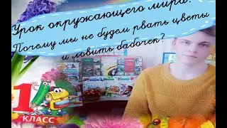 Урок окружающего мира. Почему мы не будем рвать цветы и ловить бабочек.