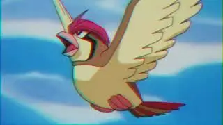 YMNK - Pigeon Drone