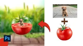 How to Create a Transparent Effect in Photoshop । Tomato Photo Manipulation 2024