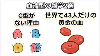 血液型にC型がない理由と「黄金の血」とは？