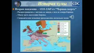 Особоопасные инфекции