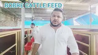 BOBRE CATTLE FEED MIXED FEED SILVER 20 kg bag packing price 37.50 total amount of 1 bag 750 rupees