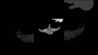 “Pigeonometry” animated short out now! #aesoprock #rhymesayers
