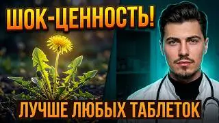 🔥 Одуванчик творит удивительные вещи! Почему этот «сорняк» ценят больше многих лекарственных трав?
