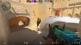 Another CS2 funny moments video