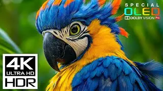 Ultimate Relaxing Sleep Music in 4K HDR 120fps | Peaceful Nature 4K Video for Stress Relief