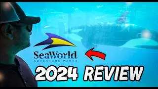 SeaWorld 2024 Review | Why We Went Back Vlog
