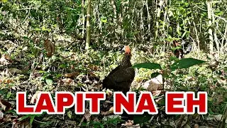 SUNOD SUNOD NGAYON ANG KAMALASAN NI GANDA.