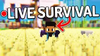 🔴 Minecraft Low-Key Survival 