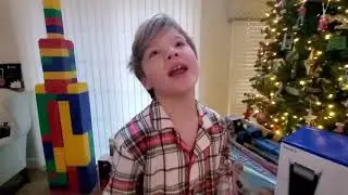 Christmas Reveal 2021