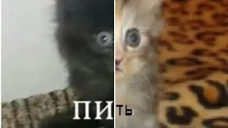 Phasmaphobia на андроид! Exorcist: Fear of Phasmaphobia прохождение.