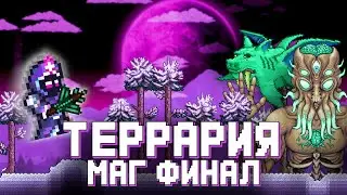 КАК УБИТЬ ВСЕХ БОССОВ В ТЕРРАРИИ ЗА МАГА // Гайд на мага Финал Мунлорд // Схема игры за мага