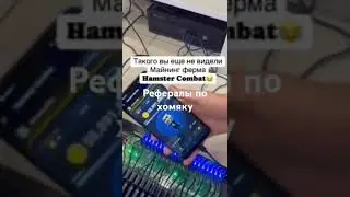 Hamster Kombat.Хомяк.Токен.Заработок