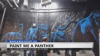 The story behind the new art deep inside Bank of America Stadium.