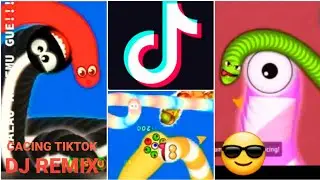TIK TOK CACING WORMSZONE SERU DAN LUCU