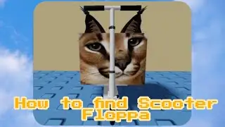 How To Find  Scooter Floppa! In Find The Floppa Morphs (450) Roblox