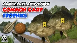 2x Common Carp Trophies Using Method Feeder On Amber Lake - Russian Fishing 4 Indonesia