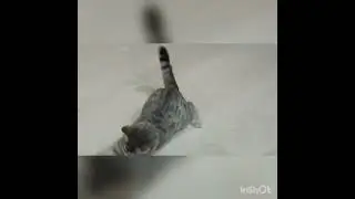 Смерть