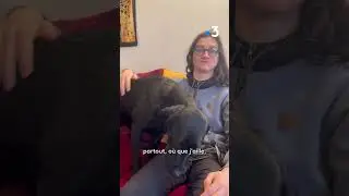 Rumba, chiens d'assistance pour Enzo, diabétique