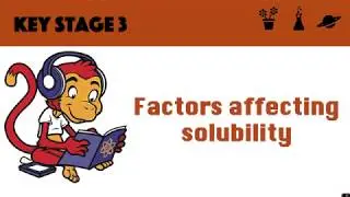 Factors affecting solubility