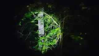 Viral.!!! WANIT4 INI BERCUMBV DENGAN POCONG‼️ PESUGIHAN POCONG‼️19 detik garut