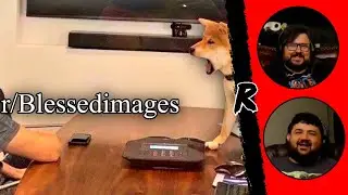 r/Blessedimages | DONT TALK ME IM ANGY - 