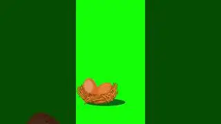 Egg Animation 