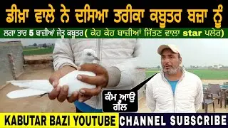 ਡੀਖ਼ਾ ਵਾਲੇ ਨੇ ਦਸਿਆ ਤਰੀਕਾ ਕਬੂਤਰ ਬਾਜ਼ਾ ਨੂੰ।kahutar bazi। part 01