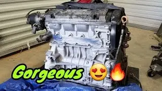 TrapCar Gets New Valve Cover Color | Cleaning The H22a4 For The CB7 Accord