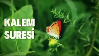 Kalem Suresi Meali ⁴ᴷ丨Size ne oluyor!