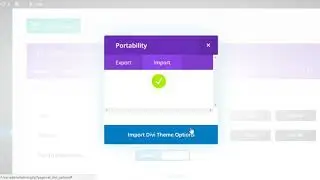 How to Import Divi Theme Option Settings
