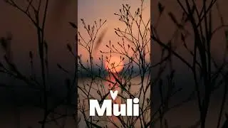 Muli By Ace Banzuelo
