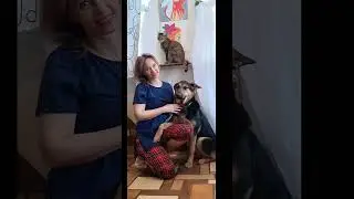 мои любимые животные #животные #приютдляживотных #котики #песики