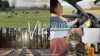 荷蘭日常Vlog｜看單身即地獄、異國情侶日常、森林漫步、巧遇斑比