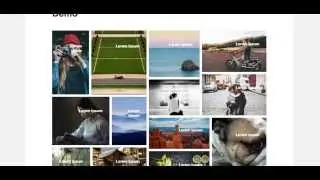 Modula Grid Gallery for WordPress