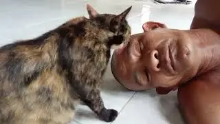 Apa artinya kalo kita di jilat kucing,mungkin bau asap ya