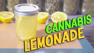 How to Make Cannabis Lemonade | Making THC Lemonade using Flower 🌿