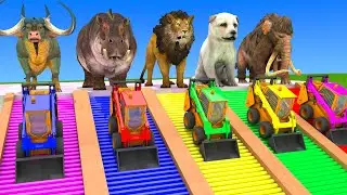 5 Giant Duck, Monkey, Piglet, chicken, dog, Kangaroo, Sheep, Transfiguration funny animal 2023