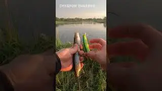 Рыбалка на спиннинг. Щука на рудру. Щука  на магалон. #спиннинг #dayo #щука #рыбалка