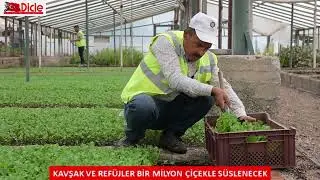 Kavşak ve refüjler bir milyon çiçekle süslenecek