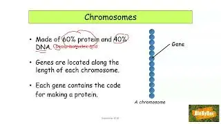 L.C. Biology Cell Continuity
