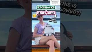 This is Allowed @ Disney World?! 😮🏰 (Backpack Policy COMPARED to Other Theme Parks)
