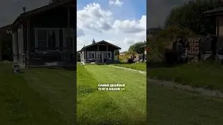 I planted a lawn with my own hands using the cheapest seeds 