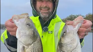 THE BIG ONES ARE BITING! LAKE MURRAY SC