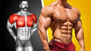 6 Best Exercises for a Bigger Chest and Shoulder Naturally