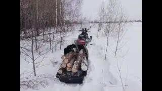 Поездка в лес за  валежником на снегоходе