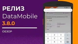 Что нового в релизе DataMobile 3.8.0