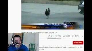 Kenapa ayam nyebrang jalan / Why did the chicken cross the road? #adapanih