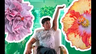 House Plant Tour *Crazy