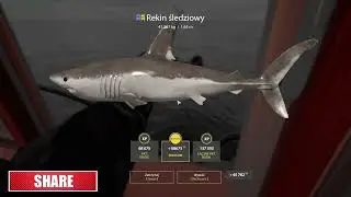 Norwegian Sea Shark | Russian Fishing 4  